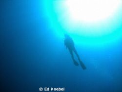 diver silhouette
 by Ed Knebel 